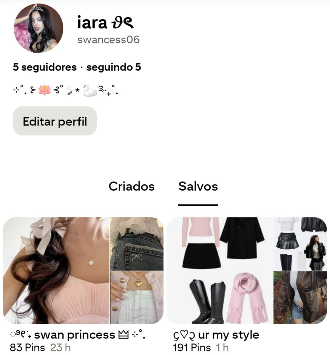 iara tweet media