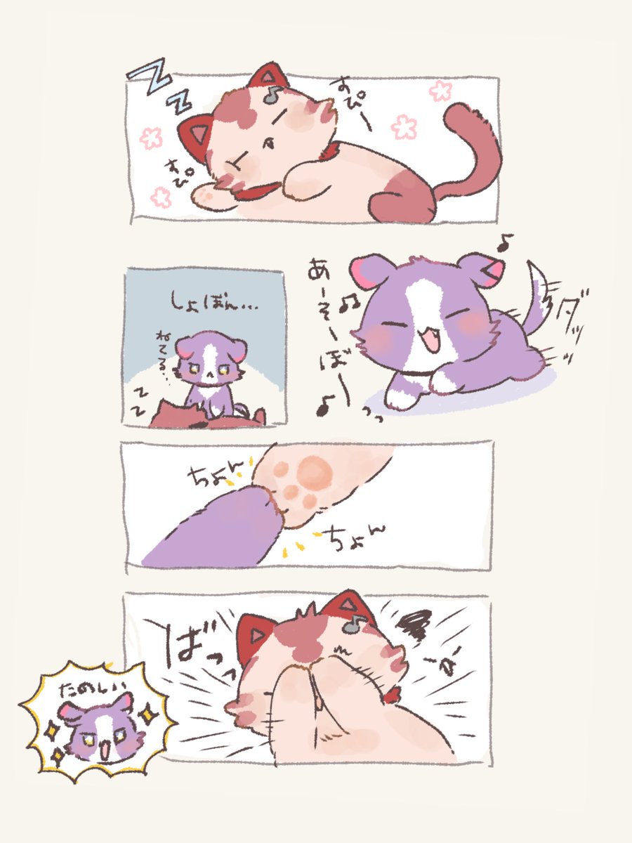 okura__kxx's tweet photo. ちょっかい🐶🐱 https://t.co/SxmOBBGYy6