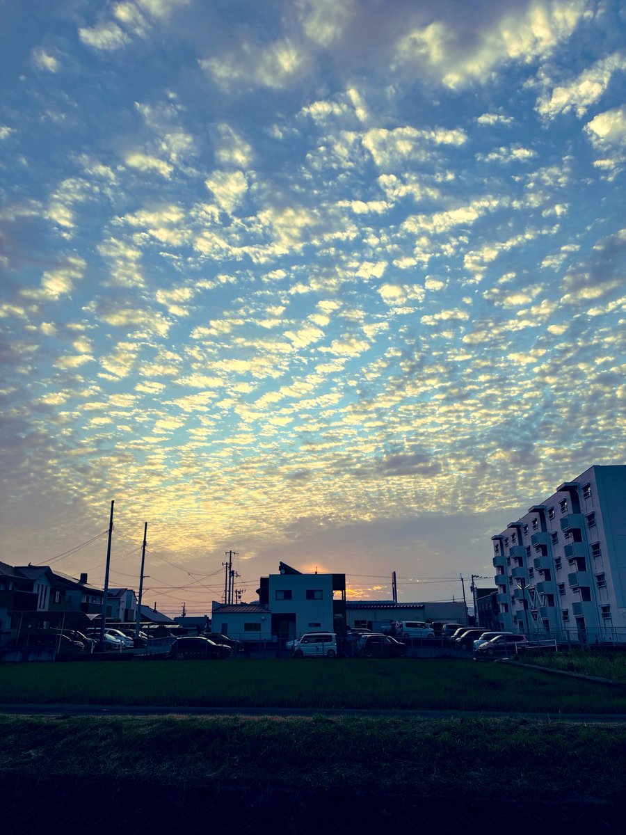 sinn_656's tweet photo. 早朝🏯🚶‍♀️🐕
暑すぎて日の出と共に出撃。なんとも言えない雲。
ネッコと対峙しながら天守閣まで登ると2018年に崩落した石垣の根本の部分から再構築が始まっている模様。 https://t.co/cYkAzpF3xT