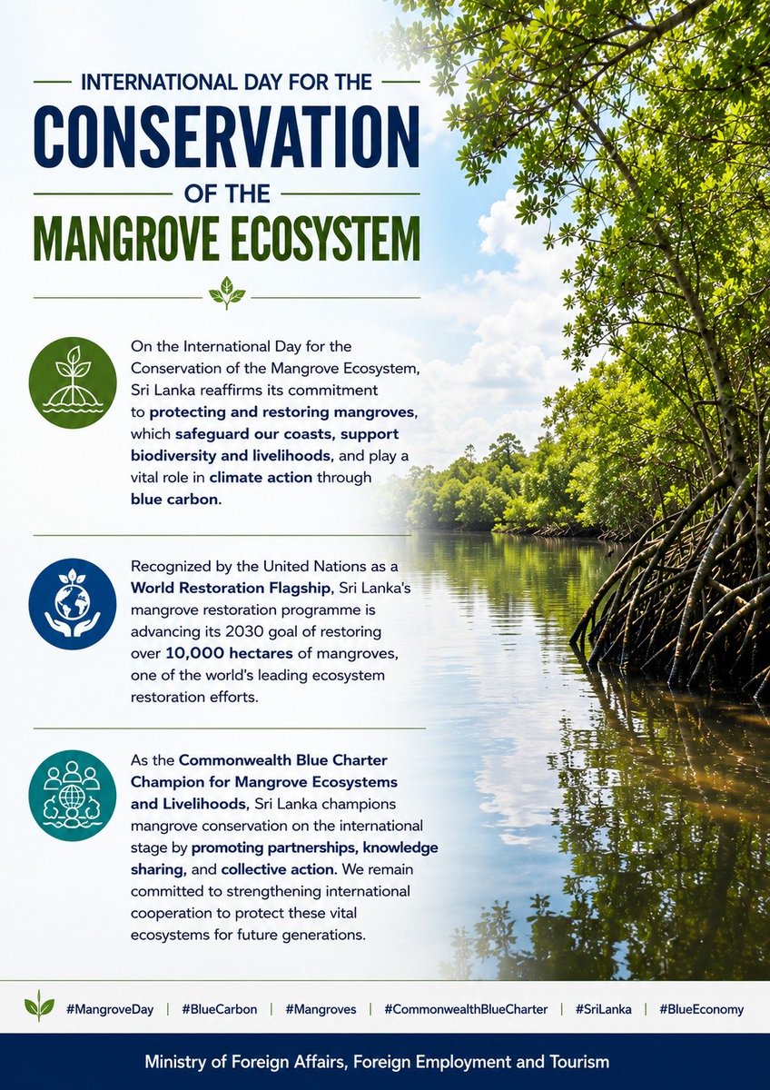 MFA_SriLanka's tweet photo. #MangroveDay #BlueCarbon #Mangroves #CommonwealthBlueCharter #SriLanka #BlueEconomy 
#DiplomacyLK
#lka https://t.co/9Lm0S3ShAR