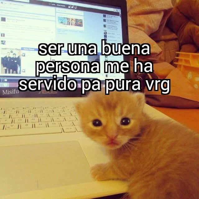 Animalesaprieto's tweet photo. https://t.co/bKaHXJkqPR