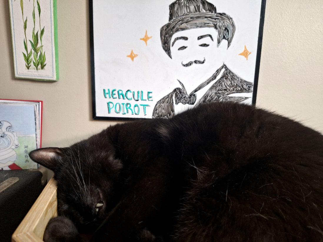 PenelopePuzzles's tweet photo. I am going on a train adventure soon, so in preparation I am playing the fabulous game that is Poirot's AGATHA CHRISTIE: MURDER ON THE ORIENT EXPRESS! I hope my little gray cells do not let me down istg anyway STREAMING LIVE NOW at https://t.co/68nG7qBDsw https://t.co/sF5qWhlorp