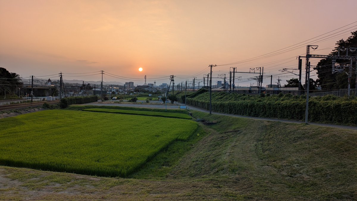 suzukichunta's tweet photo. ミミズって自爆プログラムが仕込まれているんじゃないかって位死んでるものや死に向かってるやつ見かける。早朝ウォーキング。 https://t.co/vkdwsmDMXF