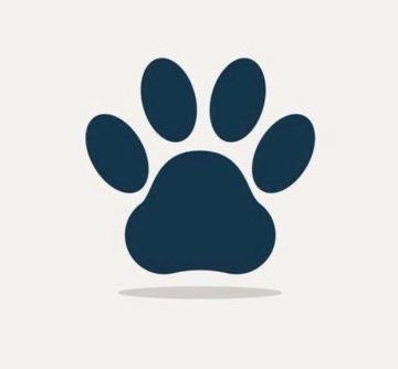 Oaks_444's tweet photo. I know you'll be interested in having my knotty videos🐕🐕 DM me right here 
👇👇👇

https://t.co/kzbizVpQfs

#zoophillia #zoosarevalid #beastiality #dogknot #zooprideisvalid #zoophile
#hypnotistzoophilesarevalid #zoophiletwt 
#zootwt #zoopositivity
#grope #Pardi #jjk242spoilers https://t.co/MQTnItMiUT