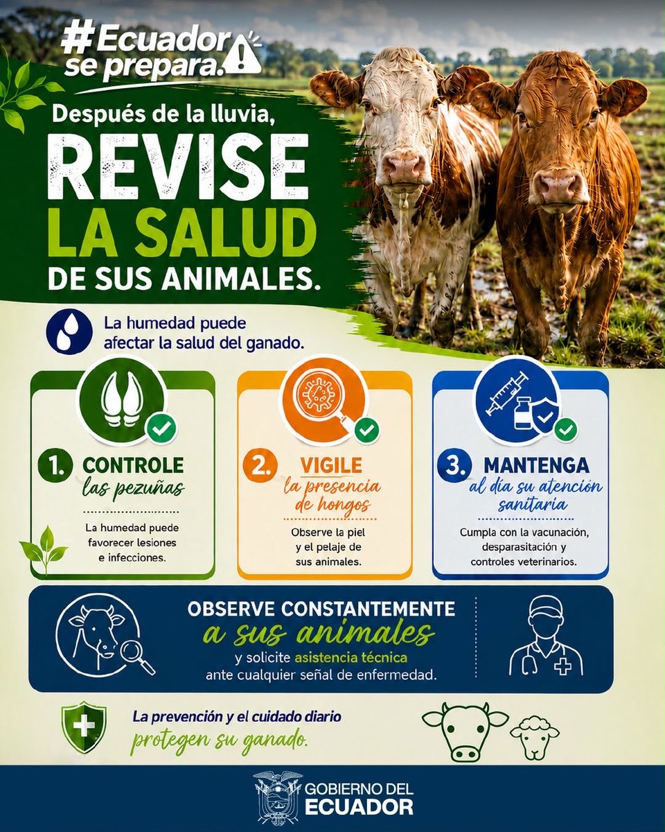 AgriculturaEc's tweet photo. #ZamoraChinchipe | 🌧️🐄 ¡Nos preparamos para la temporada de lluvias! Anticiparse es la mejor estrategia para reducir riesgos y proteger la producción ganadera.

📍Mas información en: https://t.co/545Ft54CN7 

#EcuadorSePrepara 
#GobiernoDelEcuador #MAGP https://t.co/xmrMh3YdiN