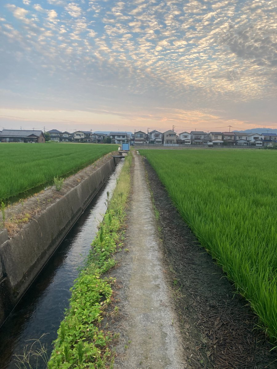 岡田鯛（【立入禁止】ヤバい噂の館～色情霊に襲われる配信者たち～） tweet media