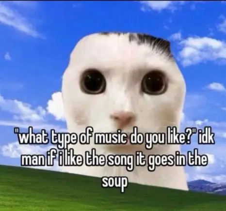 sillywhimsymeme's tweet photo. https://t.co/0LJdmY5kf7