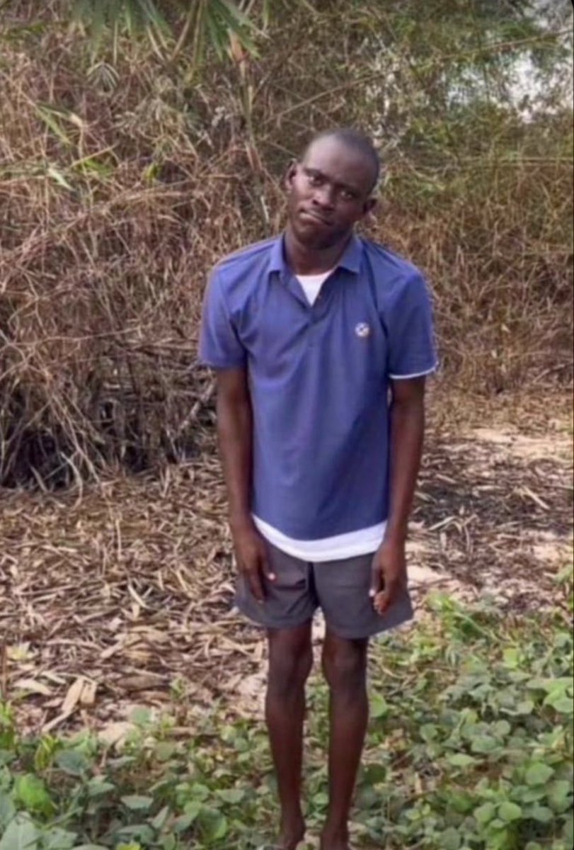 BigTee_5's tweet photo. BREAKING: After years of suffering, shouting and billing classes, Geh Geh University of Wisdom has graduated ALL its students. 
Congratulations to the survivors. No carryover. 😭🎓
No more Opueh in our lectures. Go and prosper. 😂🎓#GehGeh @official_Gegeh  @yabaleftonline https://t.co/DPHgQBfiGe