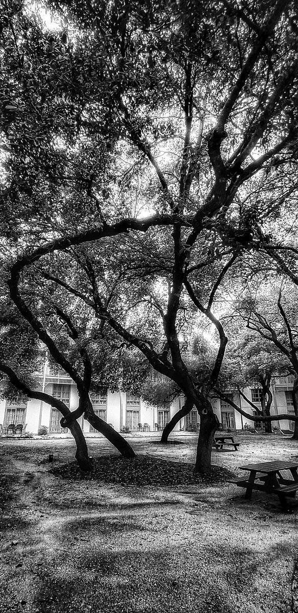 kdee24's tweet photo. @NikonUSA Can't say this is my fav b/w, but I love it nonetheless. #NikonD7000 📸 https://t.co/4SHaOU2aLq