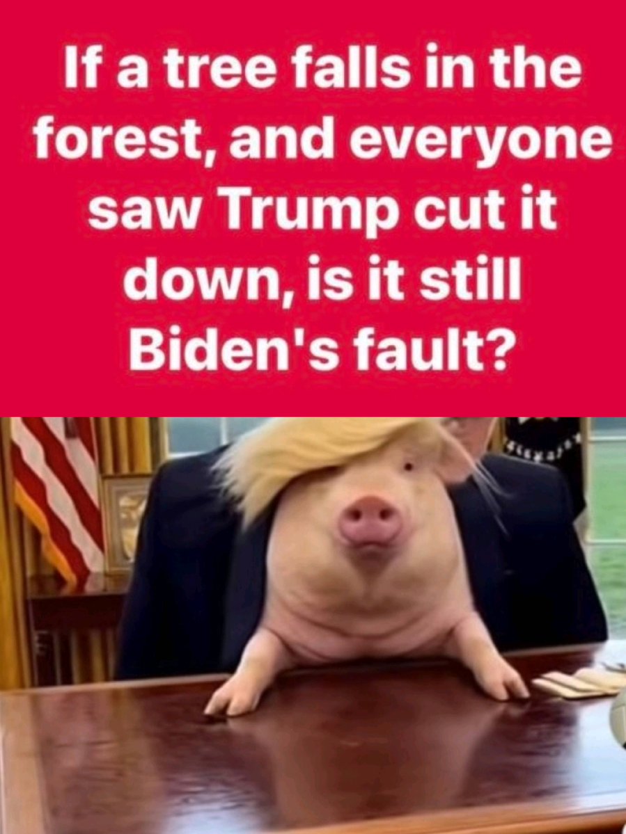 bam_buttercup's tweet photo. @HunterBiden 😎🖕 https://t.co/pdkjYdiyKl