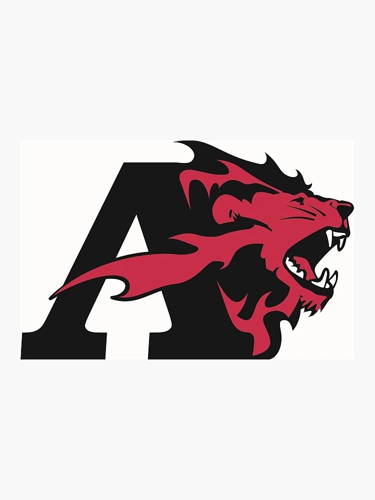 Devin6kk's tweet photo. After a great visit to Albright and a great conversation with @_Iza1ah , I’m blessed to announce that I’ve officially received an offer from Albright College! Thank you to the entire coaching staff for believing in me.#AGTG  @mzpafootball @CoachStaySharp   @CoachJoe46D https://t.co/T0u1JKRzT8