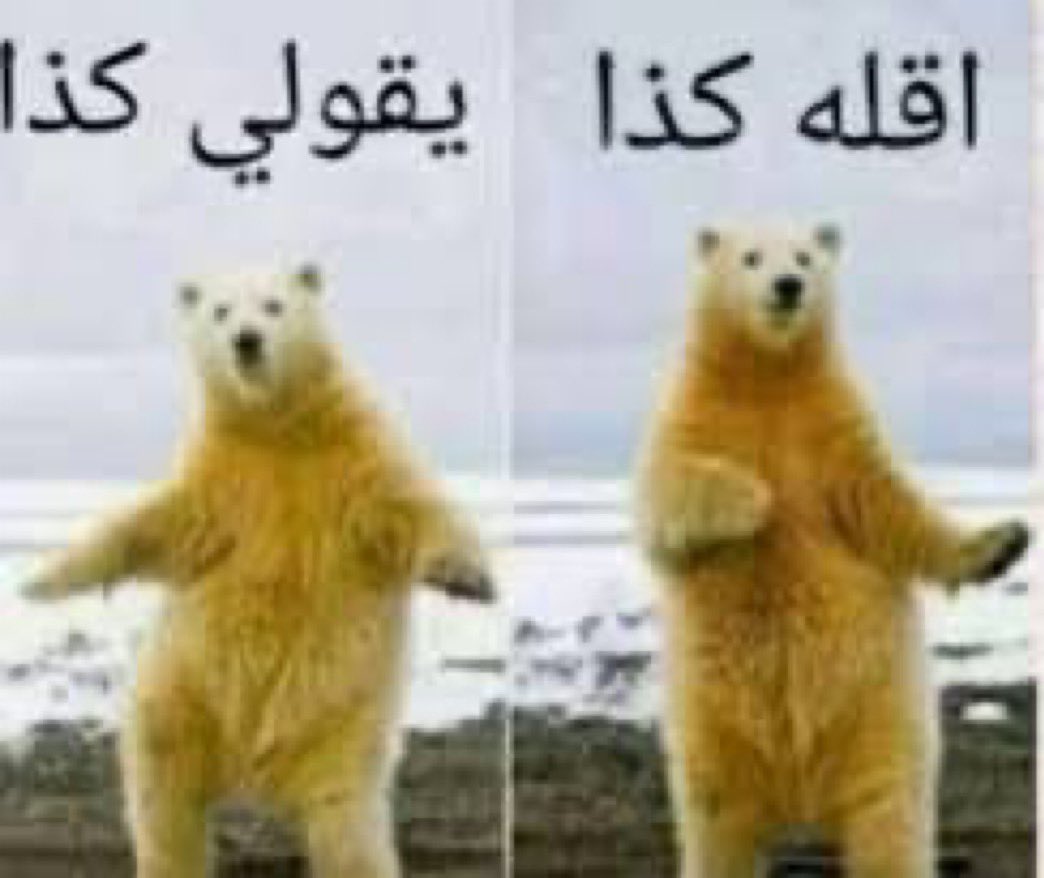 ^ tweet media
