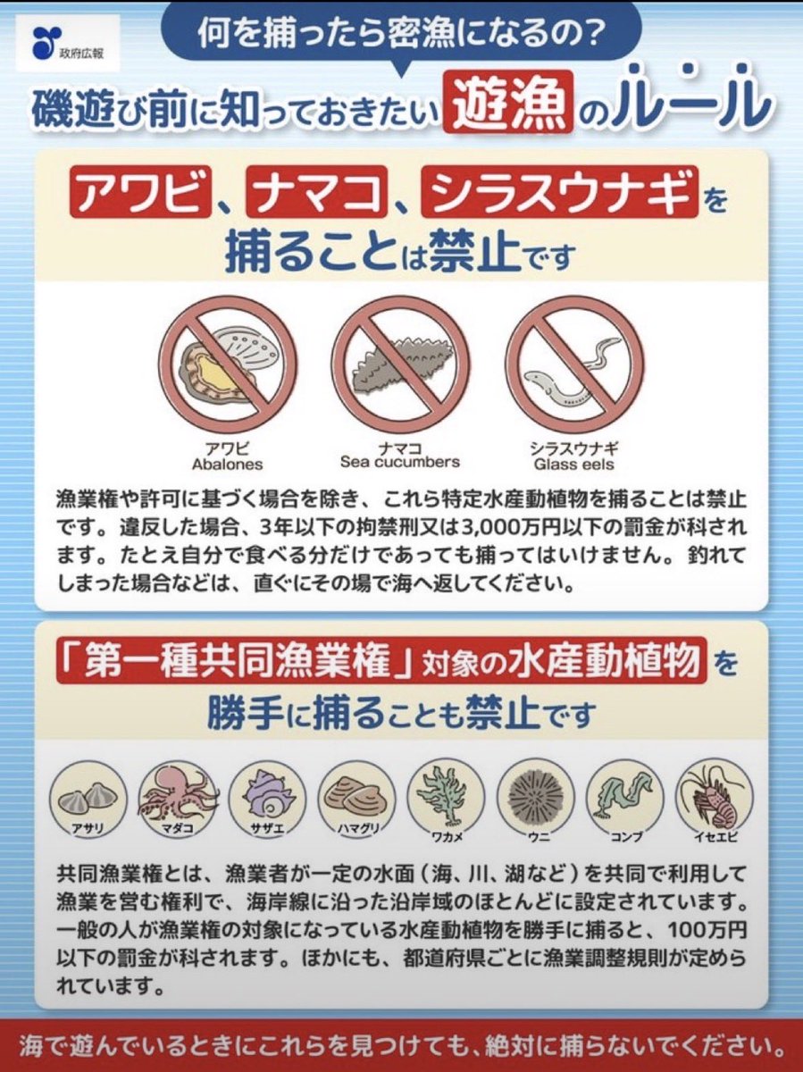 GrwaNnKqMn5nG68's tweet photo. 政府広報。
日本語で書いても、意味がありません💢 https://t.co/xhPONqwSuC