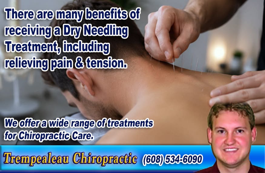 Tremp_Chiro tweet picture