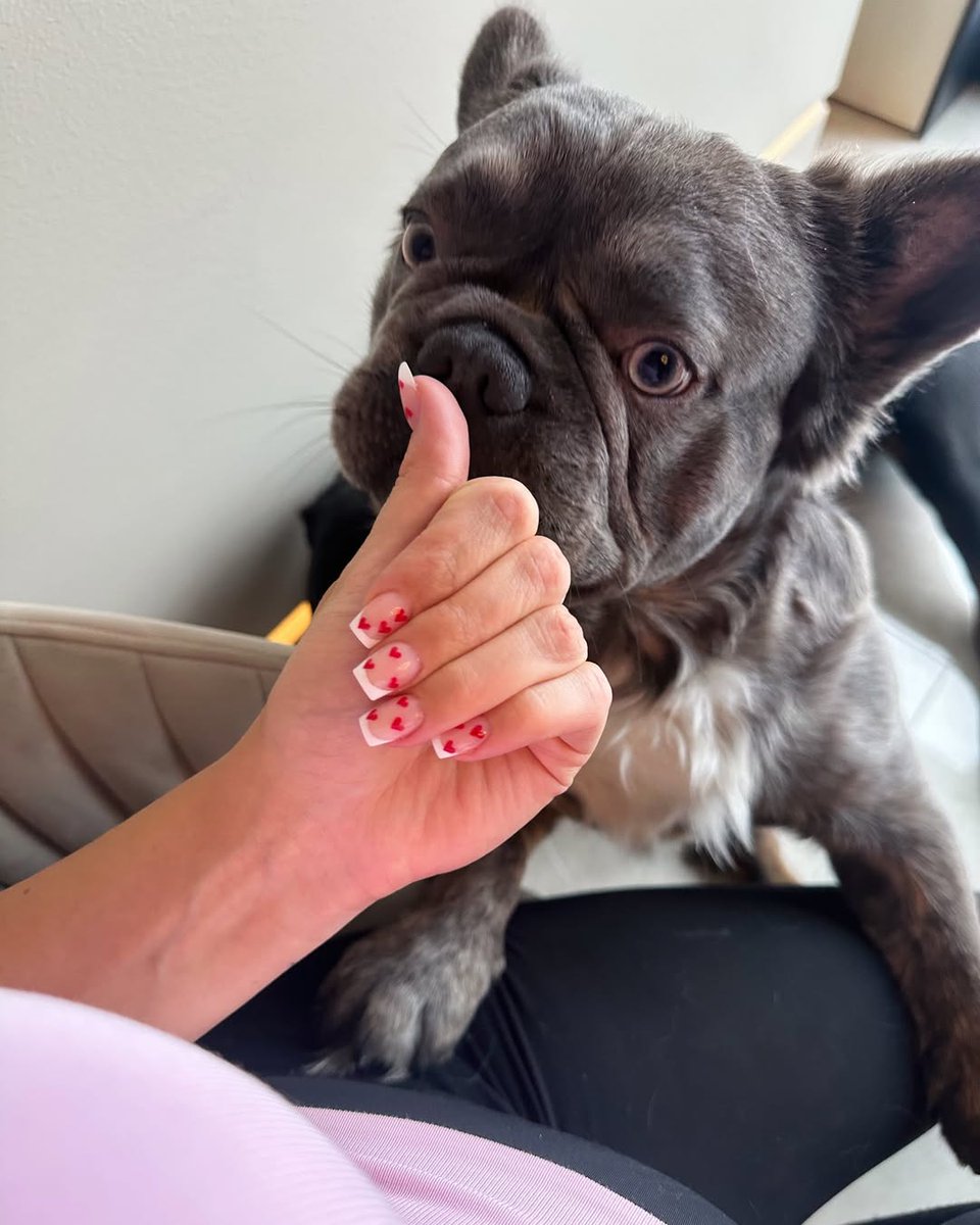 kinksBella's tweet photo. Zoo model who gives pleasure to her dogs because she likes it so much dog!🥰📷 
#Dogwhore
https://t.co/qRcTjcLxmK https://t.co/PVXF9wgedy