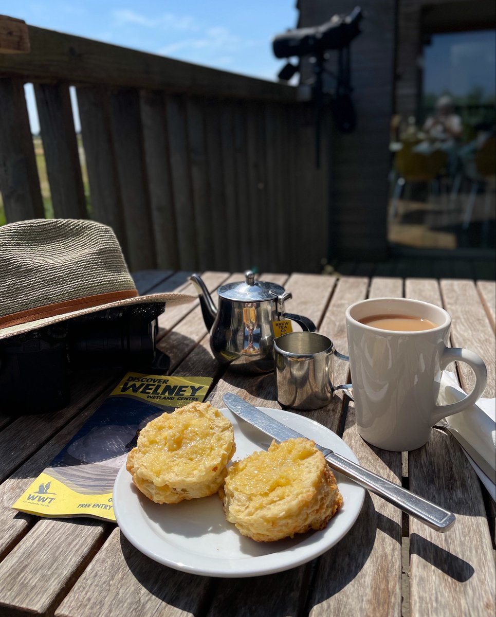mittu12's tweet photo. @DailyPicTheme2 25 July today’s #DailyPictureTheme an #Idyllic day started with a warm cheese scone at WWT Welney nr Wisbech Norfolk. https://t.co/I2HKjADcHl