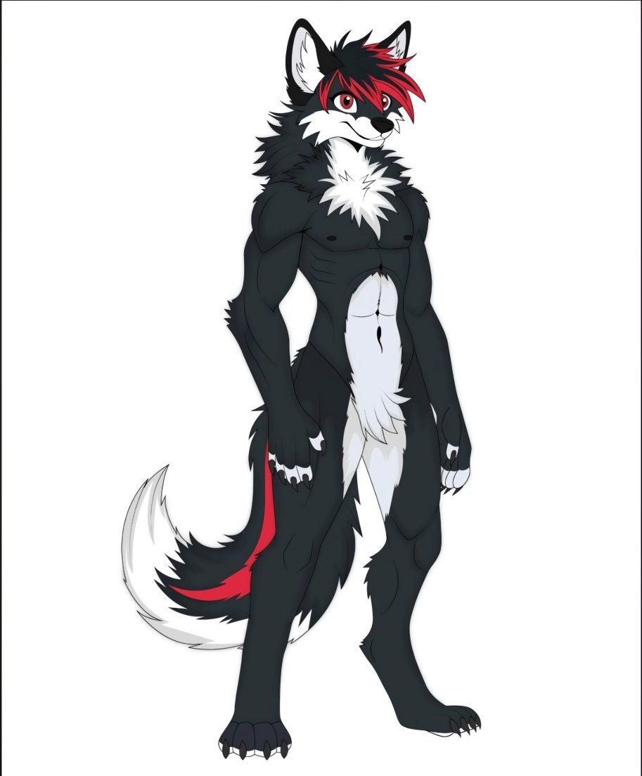 Coco_77272's tweet photo. Just wrapped up this custom artwork! 🎨 Bold black and white fur with a striking red streak. What do you think?  (Commissions are open, DM for details!) 
#furryart #characterdesign #digitalart #commissionsopen #viral https://t.co/VLxWGyqGgo
