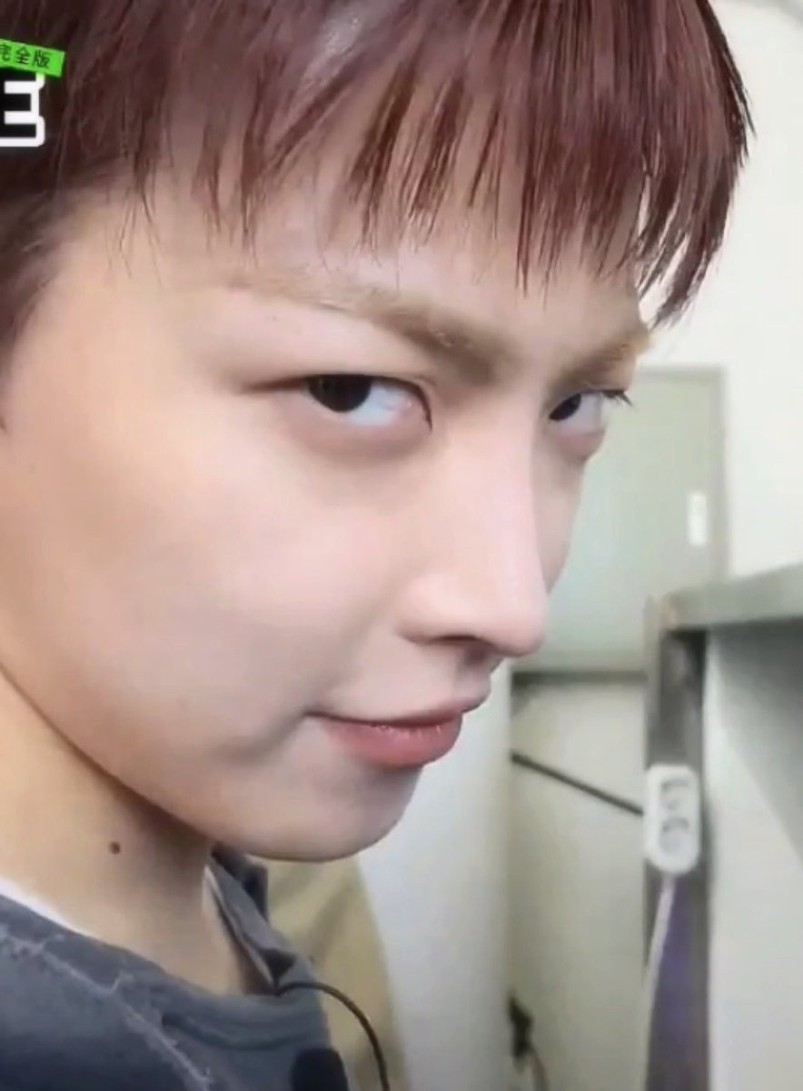 topazfanatic's tweet photo. don’t mess with the squirrel https://t.co/zIYi8vVrU0