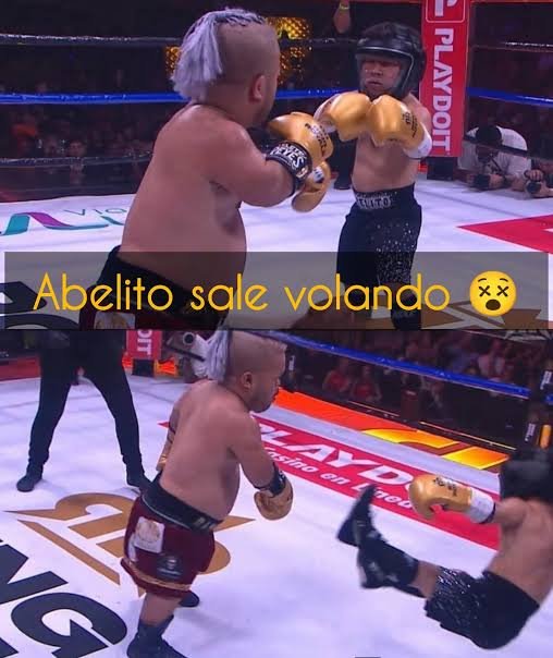 chile_morron23's tweet photo. Que putísimo aburrimiento la #VeladaDelAñoVI parece un podcast, a estas alturas #RingRoyale ya tenía a dos enanos dándose en su madre, trans hechos mierda y un ex luchador de la WWE agarrandose a vergazos con el staff y 1 anciano en KO @IbaiLlanos pero que a pasado https://t.co/Q6gSK0z6Jc