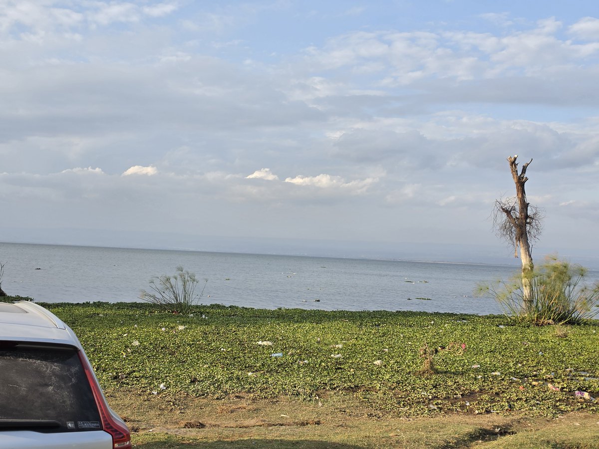 WillyGakuya's tweet photo. Revisited.
Water recided. Litter took over. Why are sapiens like this?
This beach urgently needs community discipline. Weekly clean-up with fishermen, vendors, everyone involved. 
Could have been worse,  @susankihika face is beaming on them infront of a toilet 🚽 for motivation https://t.co/qAtqkh6EUH