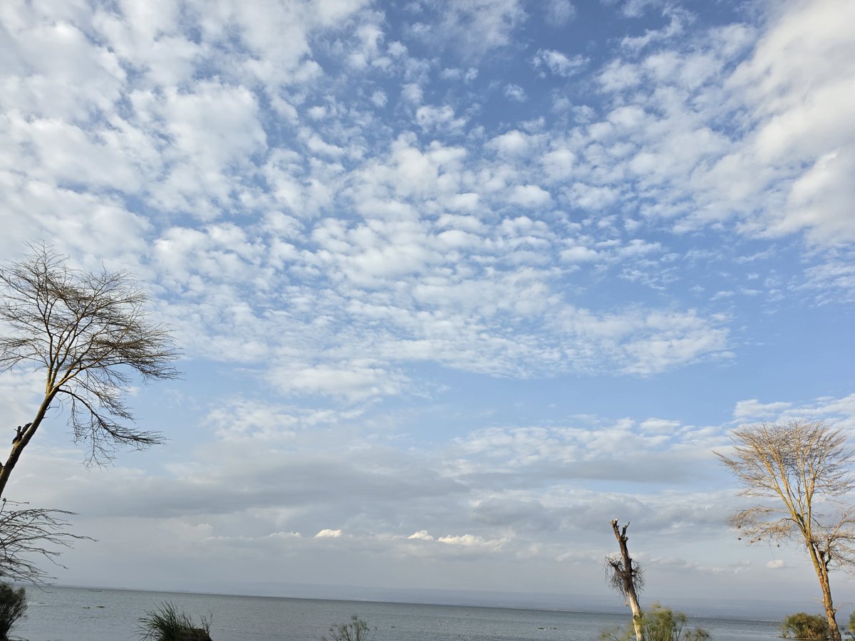 WillyGakuya's tweet photo. Revisited.
Water recided. Litter took over. Why are sapiens like this?
This beach urgently needs community discipline. Weekly clean-up with fishermen, vendors, everyone involved. 
Could have been worse,  @susankihika face is beaming on them infront of a toilet 🚽 for motivation https://t.co/qAtqkh6EUH