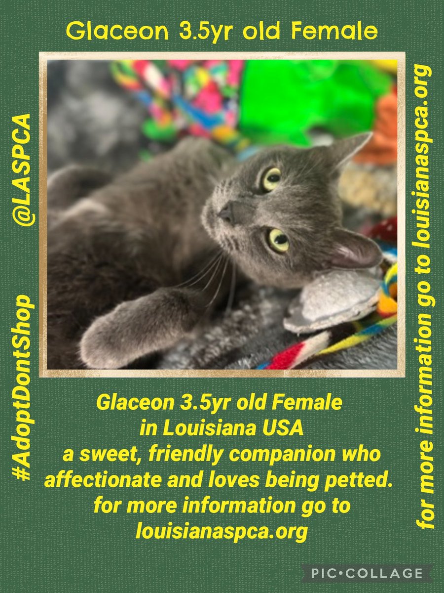 MillieOTLFP tweet picture