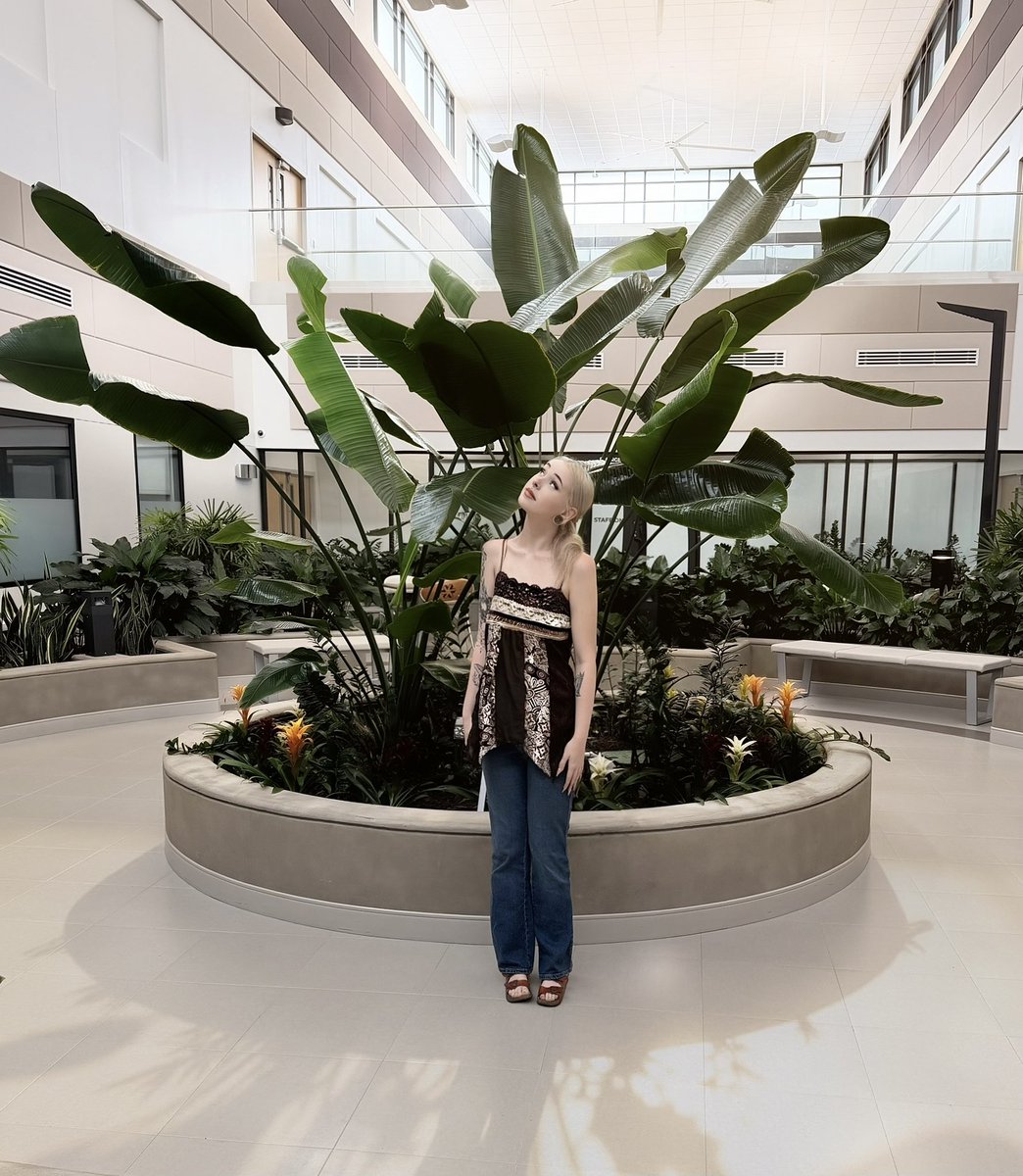 sailormoon272's tweet photo. biggggg plant #wow https://t.co/yFHEnJaDFV