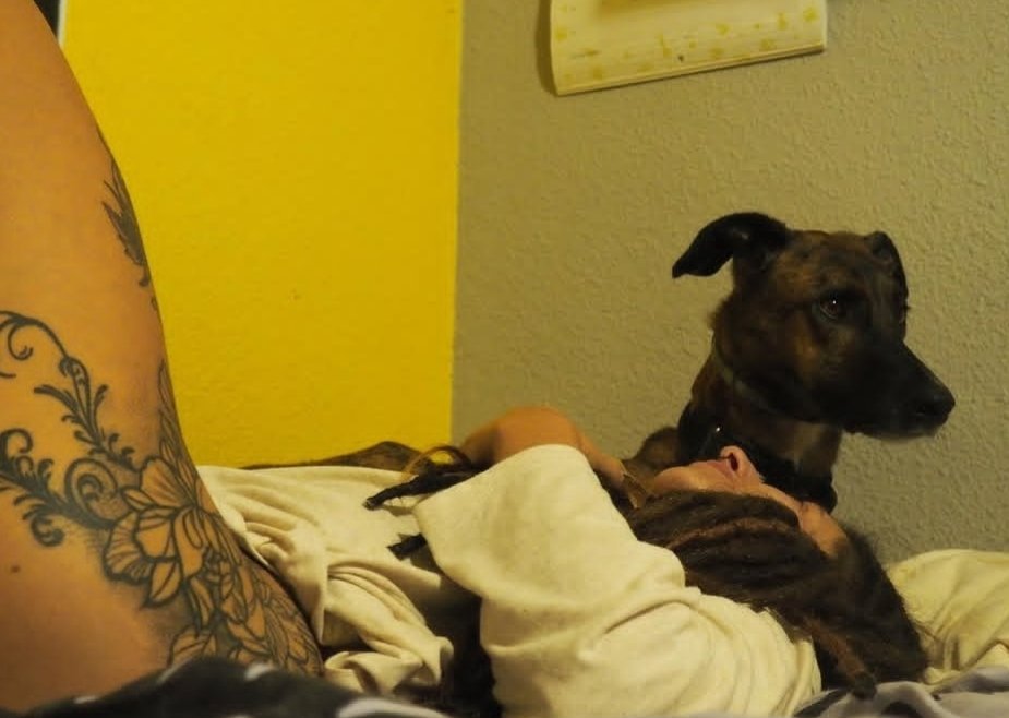 k9_kloe's tweet photo. Spend time with me at the stable, you'll enjoy watching me ride 🥴 Dm to watch me get knotted  https://t.co/74FCPCZOmo

#zoophilia #zoophile #nsfwtwtًً #dogknot #zootwt #porn #xxx #cumslut #taboo #k9girls #usa #k9mom #beastality #horseriding #horsephile #cowgirl https://t.co/XPZVbQXl2v