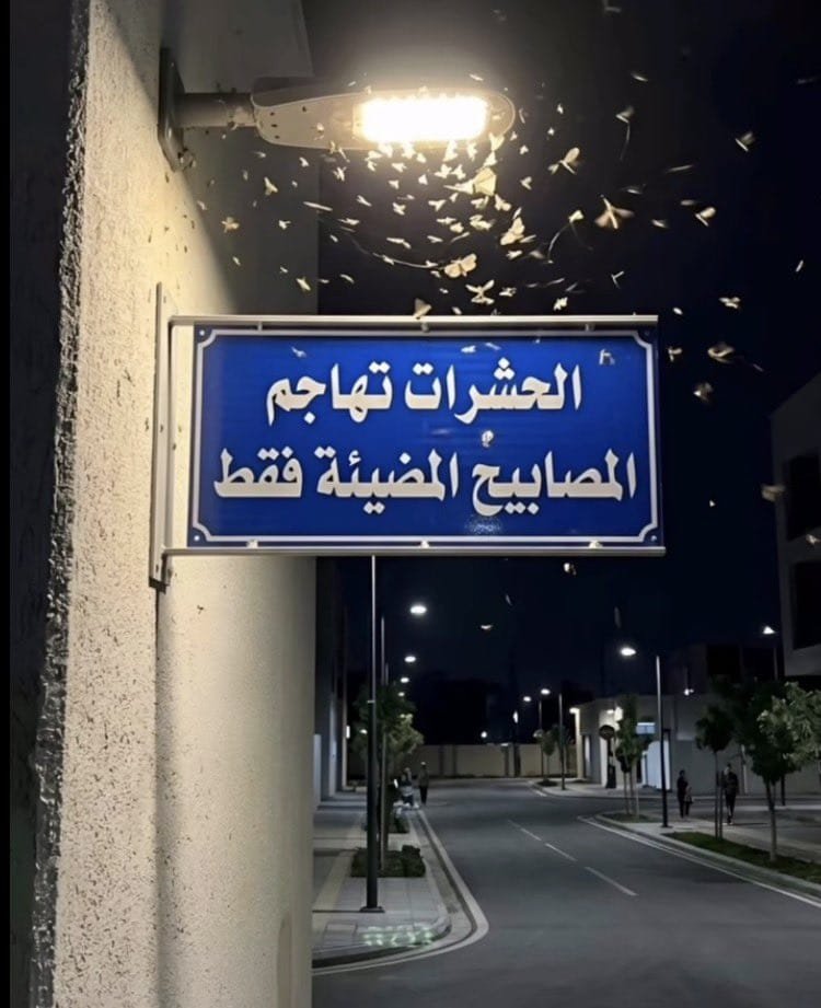 yaldees32's tweet photo. ليش ثمن التألق ان تصفق لك الأيادي بل ان تتحمل كل ما يجذبه بريقك من أذى.

فقط أستمر ولا تلتفت https://t.co/DV3MfZGn13
