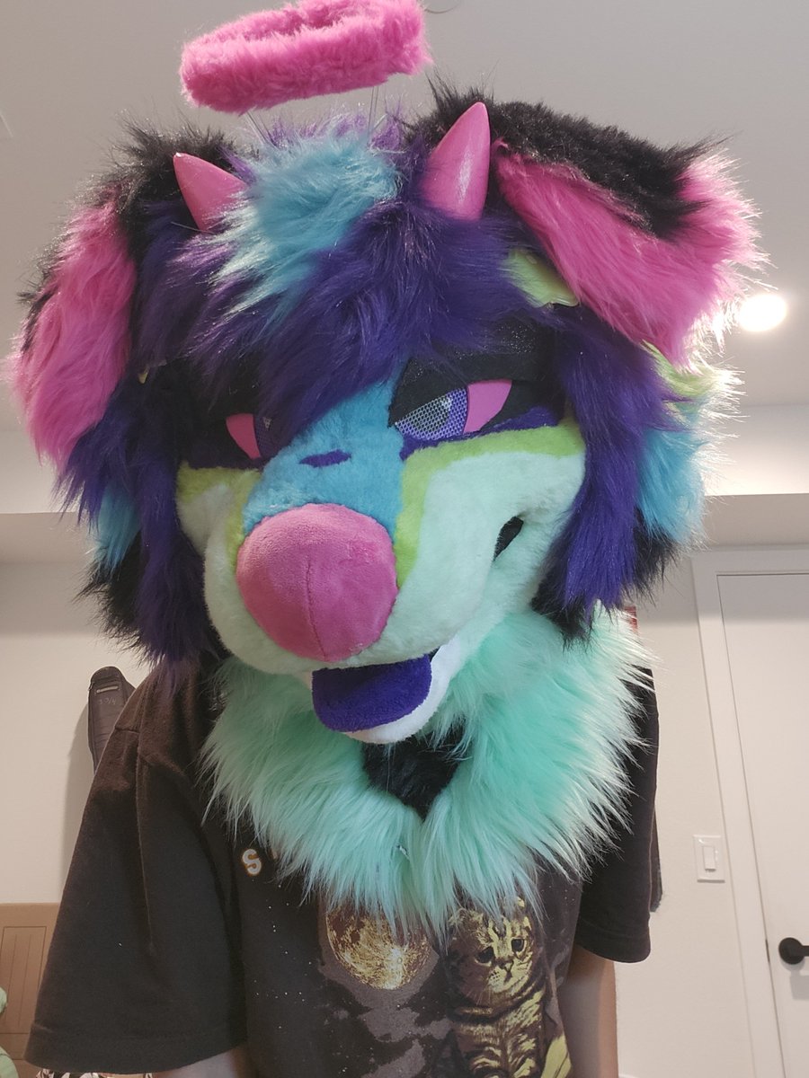 retropawss's tweet photo. Hi hi! Name's Astro and I make fursuits. I have two fursuits I made: Breakfast the border collie and Tea the raccoon!
~
Fill free to check me out hehe:
https://t.co/0MSvkE5iro https://t.co/Tgjh98DWtd