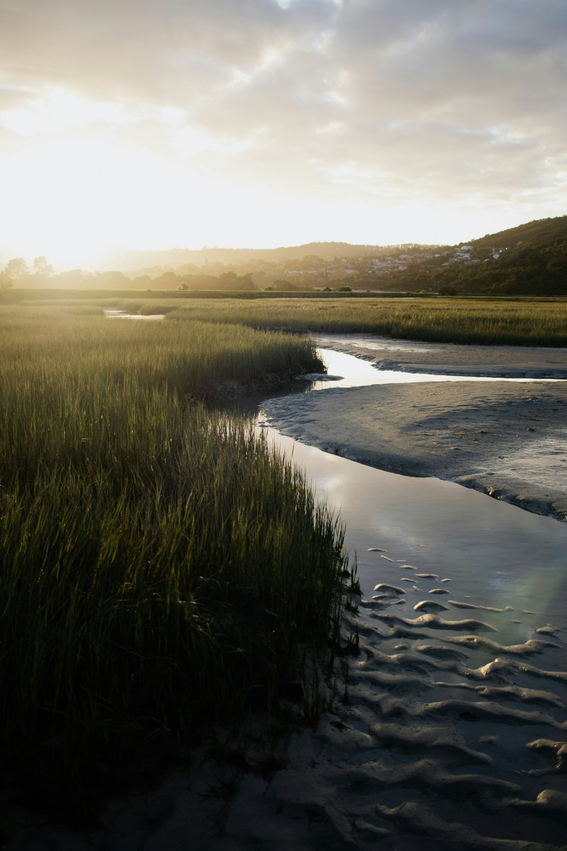 greenvibe's tweet photo. Nature’s softest goodbye https://t.co/iNibLVBmal