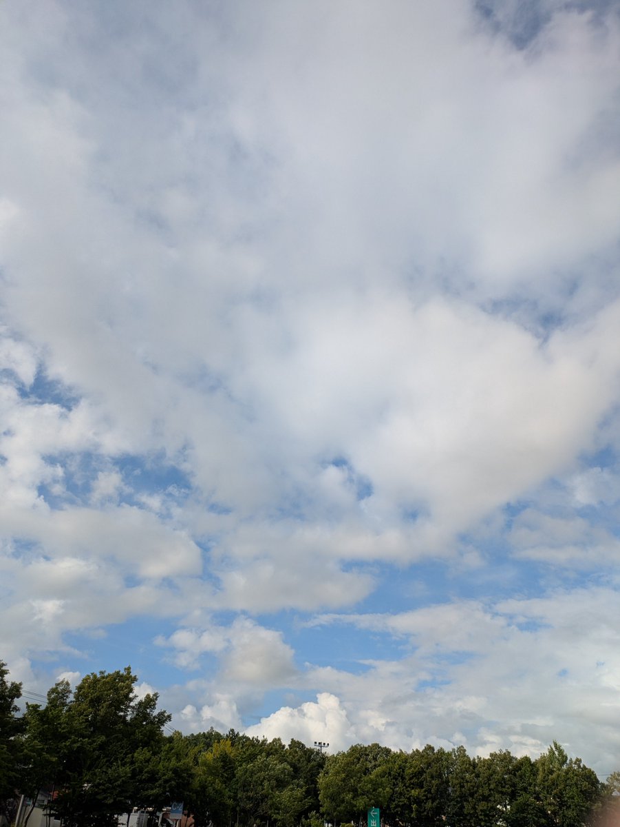k10a28a2's tweet photo. 朝活198日目☁️

朝活は自分にとって、ただ歩くだけじゃない。
心を落ち着かせ、考え事をして、「今日も頑張ろう」と気持ちを整える大切な時間。

同じ景色でも、毎朝歩く意味は少しずつ積み重なっている。

今日もまた1日が始まる。
今日も頑張ろう💪🍃

#頑張ろう #1日 #朝活 #散歩 https://t.co/vlYoqtO11g