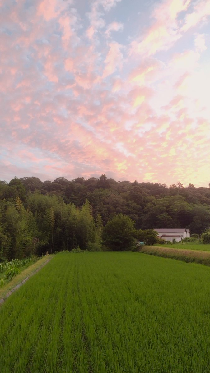 fujihir's tweet photo. 朝焼け久しぶり
#photography #photo #写真 #Japan #朝 https://t.co/TuzpUZgun4
