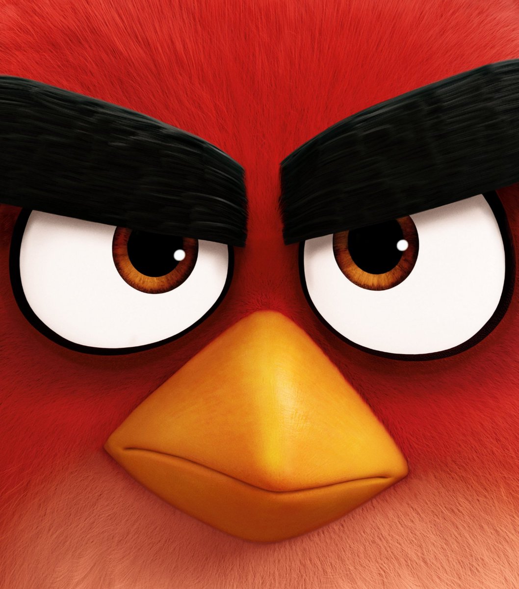 CartoonsOTMoon's tweet photo. La trama de ANGRY BIRDS 3 aún no se ha revelado y hay «sorpresas muy, muy grandes» que aún son secretas. https://t.co/gNhTsE19ri