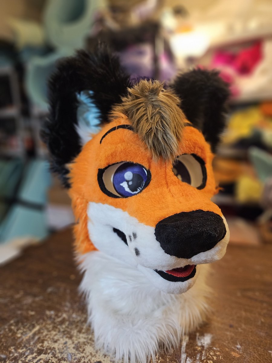 2stupidfurs's tweet photo. DankStar deep cleaning and lots of small touch ups. Now on their way back home! https://t.co/Bg984rHPzn