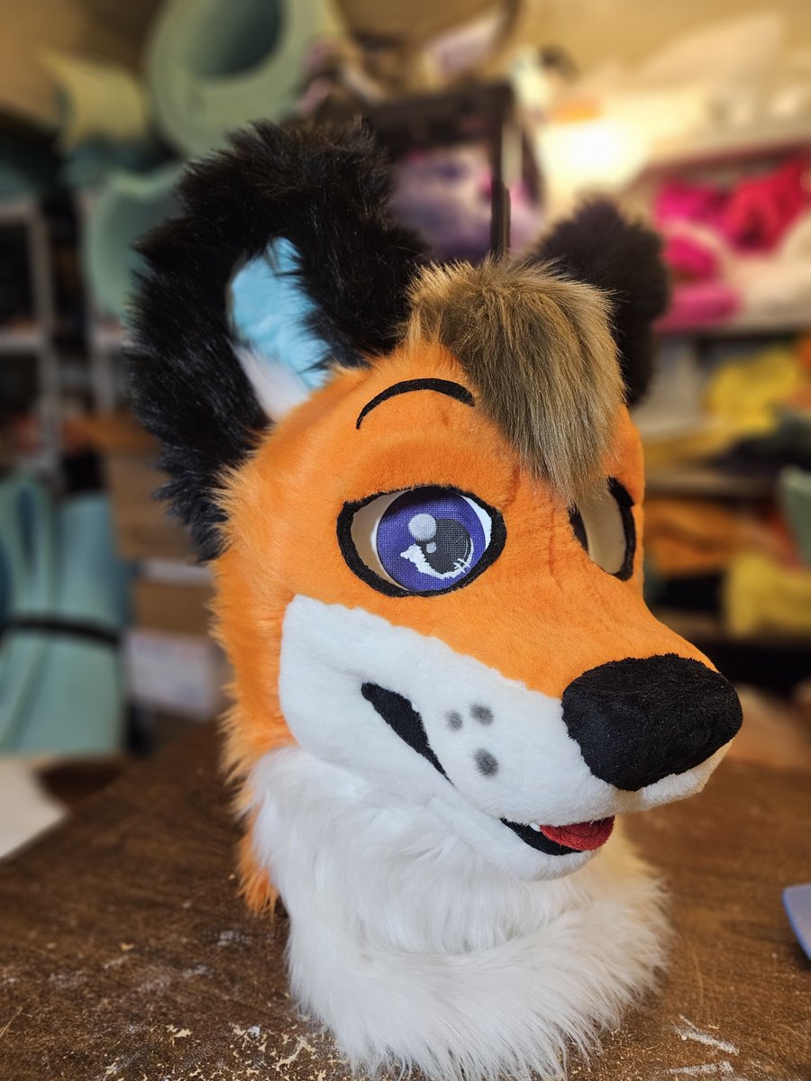 2stupidfurs's tweet photo. DankStar deep cleaning and lots of small touch ups. Now on their way back home! https://t.co/Bg984rHPzn