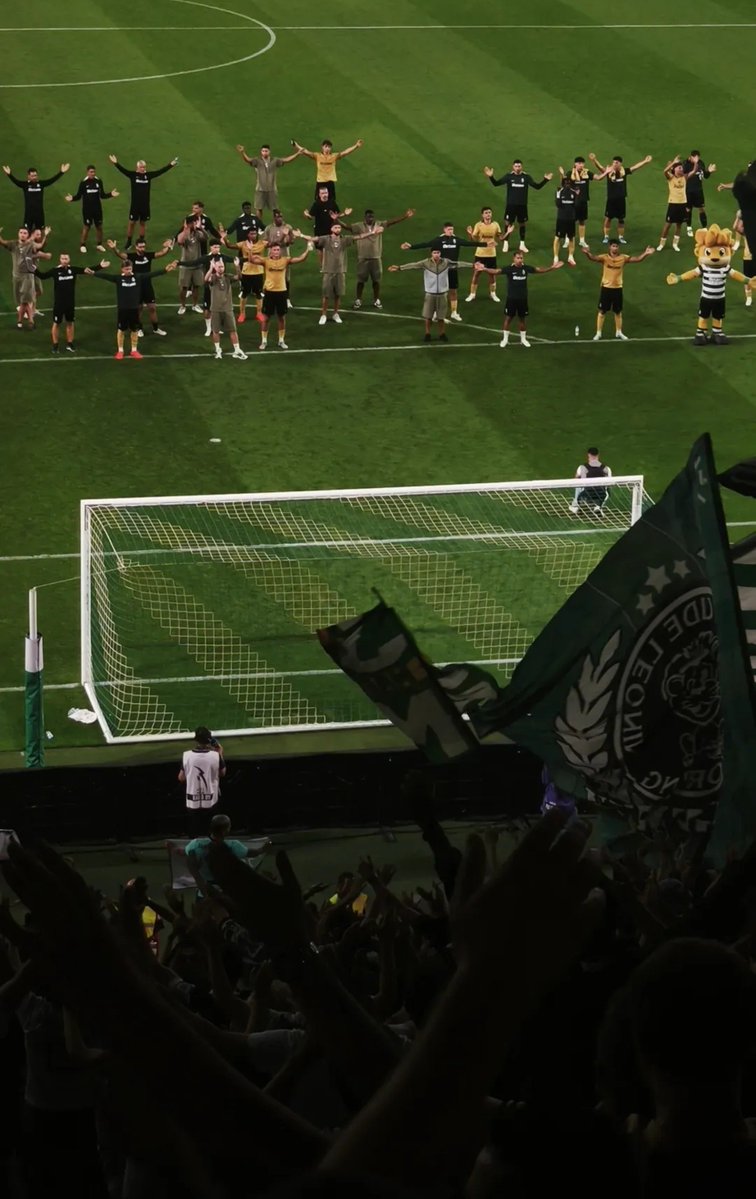 racadeleao_'s tweet photo. Que foto! O vulcão de Alvalade está de volta! 🌋 https://t.co/e5qeYP8C1T