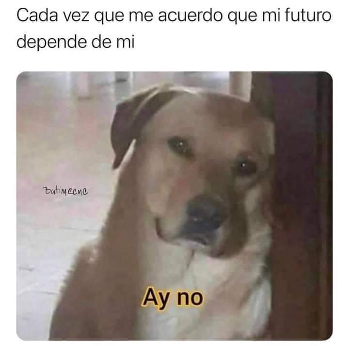 caitos86's tweet photo. Hay no.....
#humor #meme #dalelikeysigueme #memes #parati https://t.co/9WM6E5c3f9