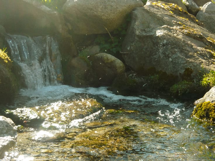 greenvibe's tweet photo. Nature’s own glitter filter https://t.co/jiPh7HaQqQ