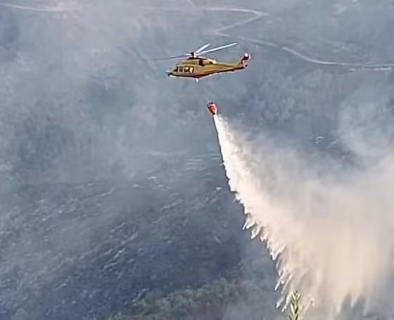 awweze's tweet photo. 🇩🇿 
طائرة Be-200ES بسعة 12000 لتر للطائرة الواحدة

مروحيات Mi-26T2 ثقيلة،  تجهز بمنظومة VSU-15  بسعة 15000 لتر للمروحية الواحدة

  طائرات AT-802 بسعة 3000 لتر 

 مروحيات AW139 تابعة للحماية المدنية، مزودة بدلاء مياه بسعة مابين 1000  إلى 1200 لتر https://t.co/8D4VL1S62Q