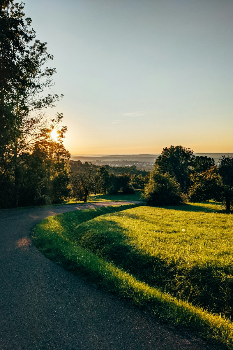 greenvibe's tweet photo. When the sun dips low and the road becomes pure gold… https://t.co/oFo5syytbR