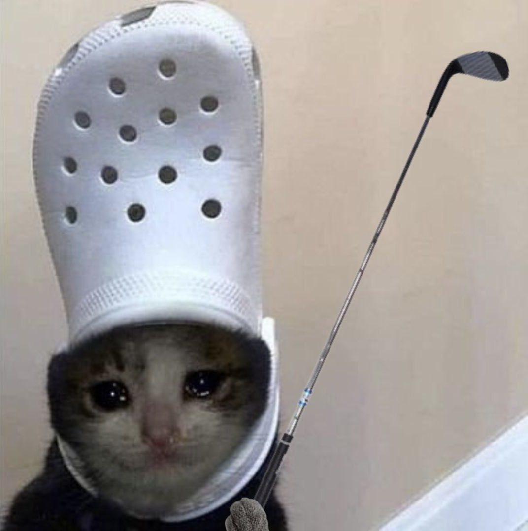 DCTCapital_'s tweet photo. @croccatofficial @fibonacki @ChillHouseSOL https://t.co/Z4owV3HY17