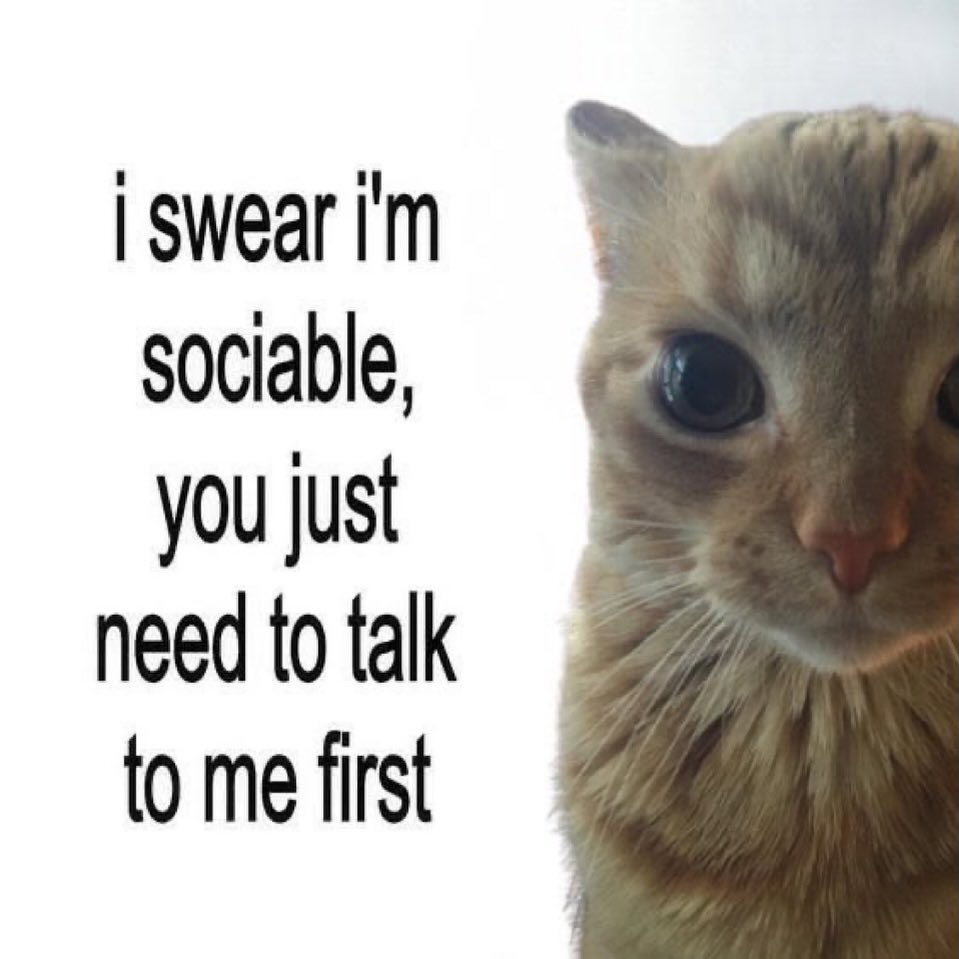 literallymecats's tweet photo. https://t.co/l9lHFT1mMZ