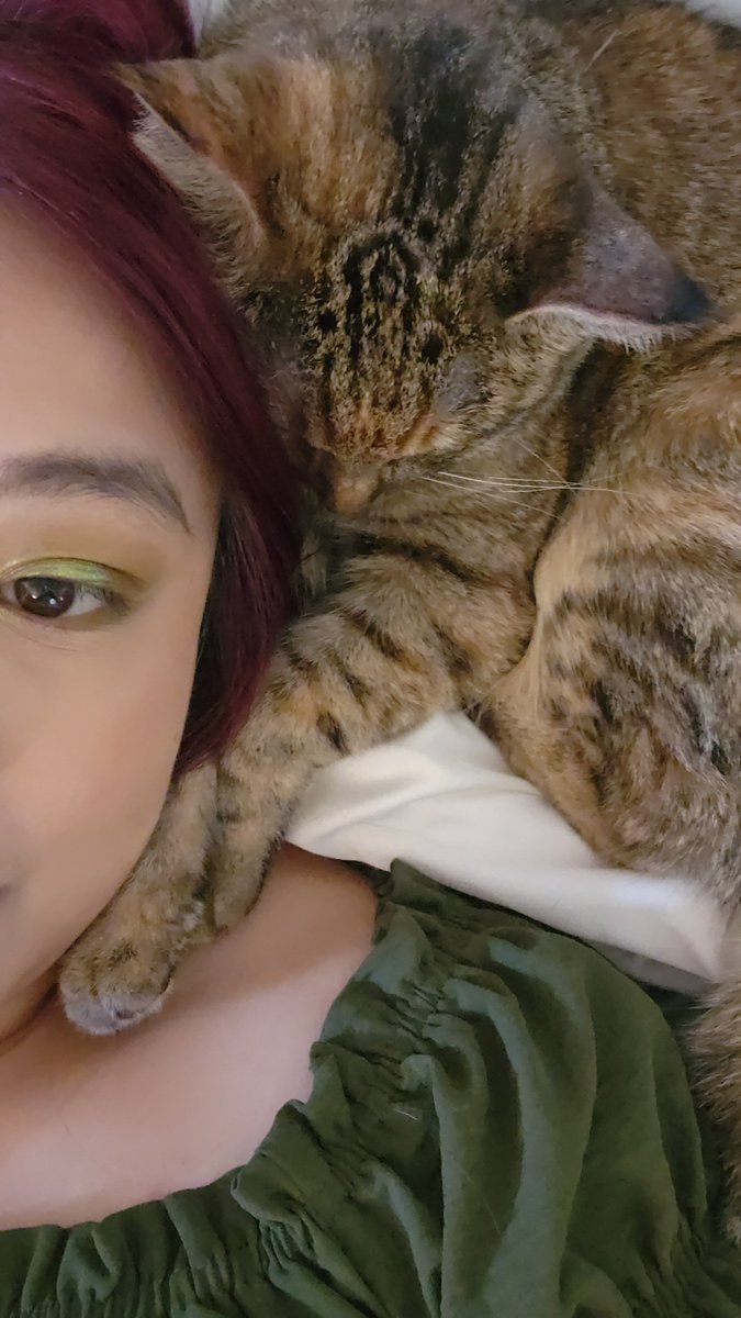 wanderlistic's tweet photo. The sound of a cat purring in your ear is so incredibly healing. https://t.co/luS58guNXi