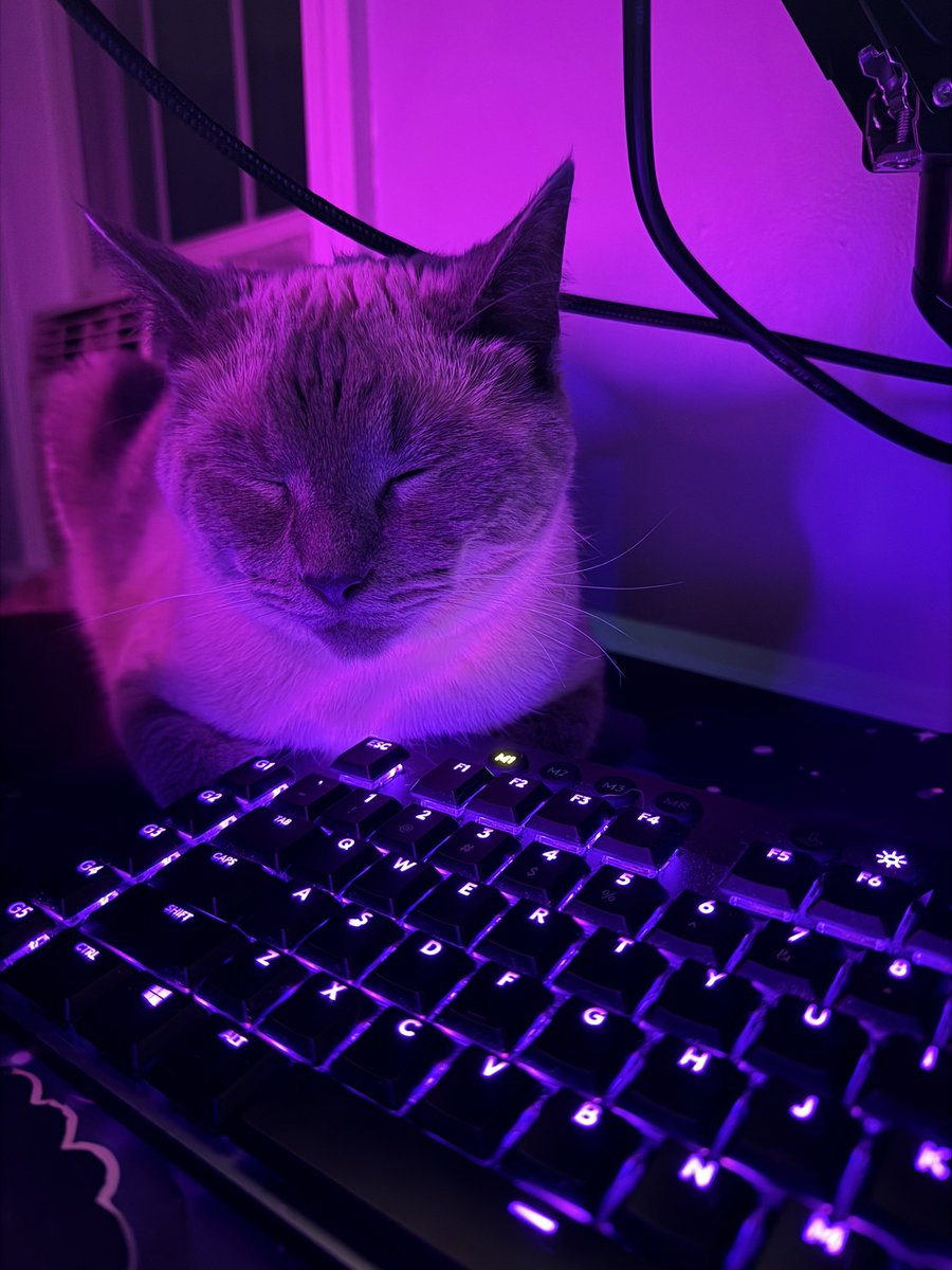 MaeBeaus's tweet photo. he’s watching me play dbd https://t.co/pnkwAQbqew