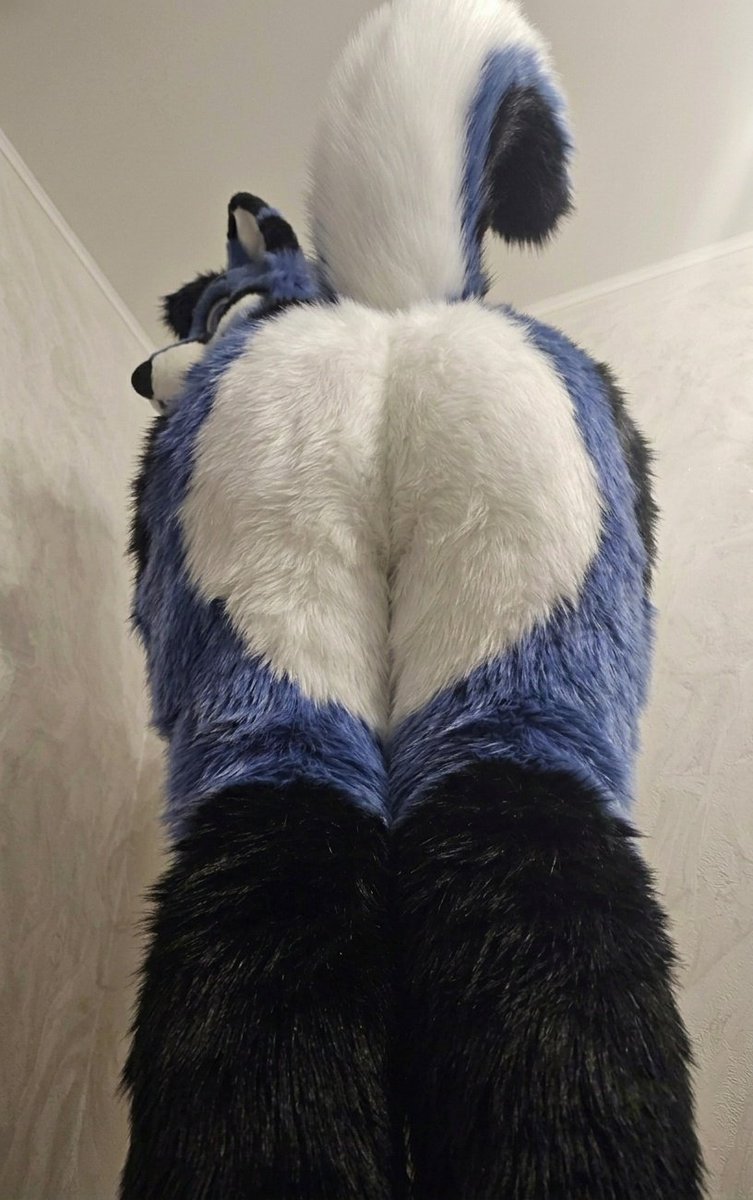 AnnaJfursuit's tweet photo. a little bit from below, like the view? https://t.co/pGXzU1SCVD
