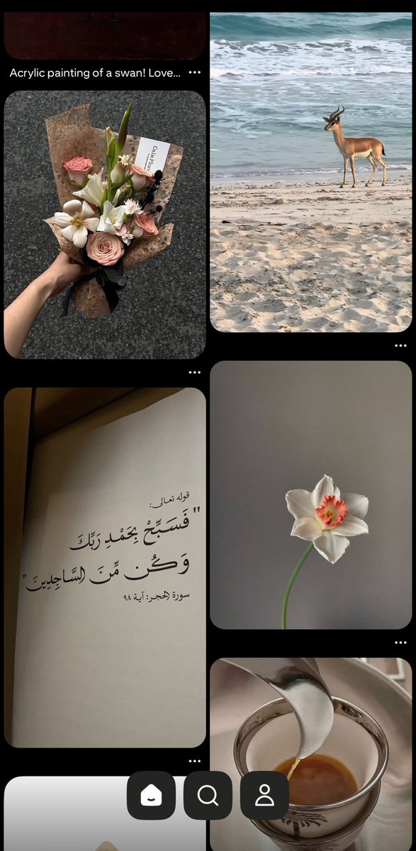 انـدثار tweet media
