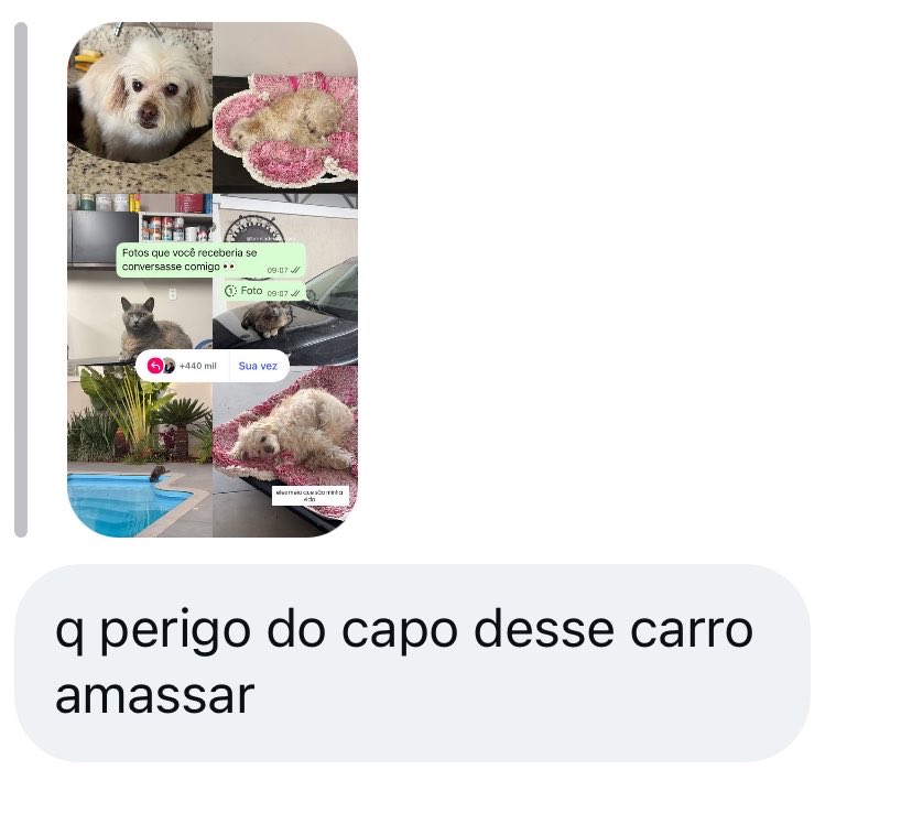 misa tweet media