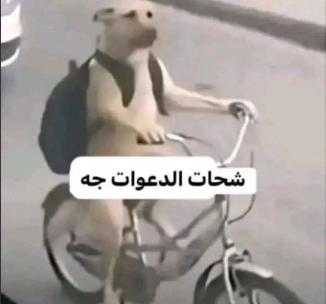 ِ tweet media