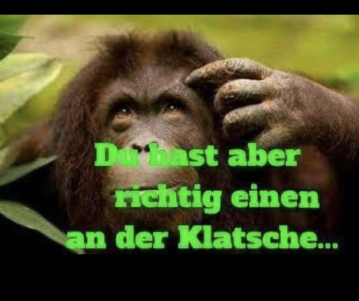 stromer1954's tweet photo. @nester1959 @Frohnmaier_AfD https://t.co/pPW6i3WH6d